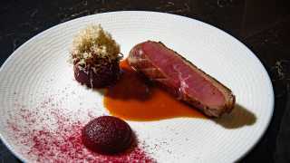 The best new restaurants in Toronto | A duck dish at Enigma Fine Dining