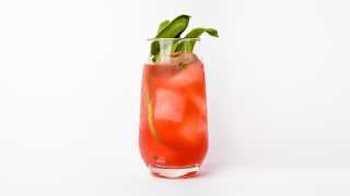 Georgian Bay Spirit Co. holiday drinks | Raspberry Rhubarb Pie Smash