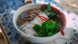 The best pho in Toronto | Vit Beo on Bloor St. W. The best pho in Toronto | Vit Beo on Bloor St. W.