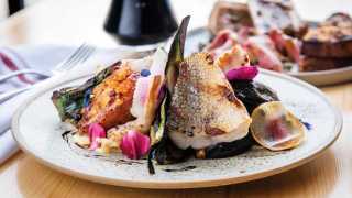 Restaurant supply chains: Seasonal grilled fish over warm salad at Bandit Brewery