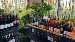 The best bottle shops in Toronto | Midfield has a wide variety of wine for sale by the bottle