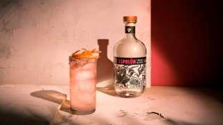 Cinco de Mayo | Espolon tequila's Espaloma