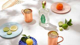 Cinco de Mayo | Hornitos Tequila Mexican Mule