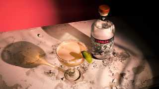 Cinco de Mayo | Espolon tequila's Grand Margarita