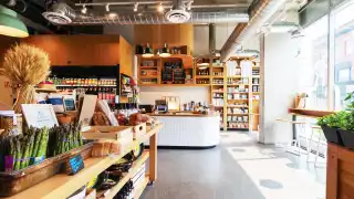 Trinity Bellwoods neighbourhood guide | Inside Fresh City on Ossington