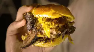 The best new restaurants in Toronto | A dripping beef brisket sandwich from Camp Smokehouse