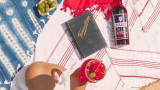 Picnic recipes | A select spritz at a summer picnic