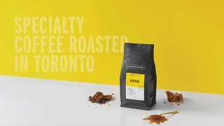 Win a six month Pilot Coffee subscription | Specialty coffee roasted in Toronto