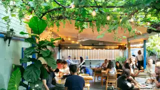 Paradise Grapevine, wine bar and bottle shop | On the patio at Paradise Grapevine