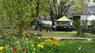 The freshest farmers’ markets in Toronto | The Dufferin Grove Farmers’ Market