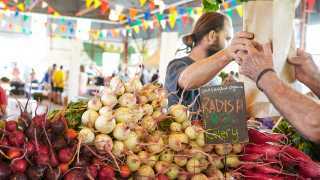 The freshest farmers’ markets in Toronto | Fresh radishes at the Brickworks Farmers' Market