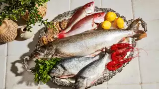 Restaurant Review: Toronto Beach Club | Catch of the day