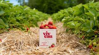 Win a three-month supply of Viveau and a stay at The June Motel in P.E.C. | Viveau is made with real fruit