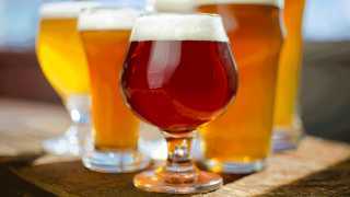 Celebrate International Beer Day | A wide variety of American craft beer