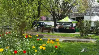 Things to do in Toronto this August 2021 | Dufferin Grove Farmers' Market
