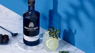 Harvest Hill recipe with Whitley Neill Blackberry Gin