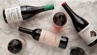 Vinatigo Canary Wines | Bottles of Vinatigo wine on a marble background
