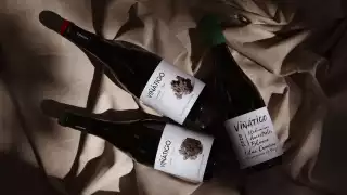 Vinatigo Canary Wines | Vinatigo wines