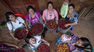Sister's Story coffee | Female coffee farmers from the Café Femenino