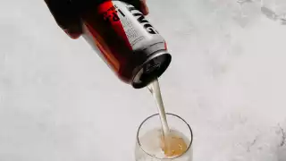 Avling, Leslieville's sustainable craft brewery | Pouring an I.P.A
