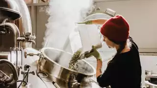 Avling, Leslieville's sustainable brewery | Brewer Taylor MacKenzie
