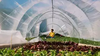 The future of farming is BIPOC | Aminah Haghighi