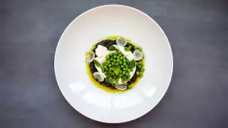Restaurant review: Vela Toronto | Seasonal burrata appetizer