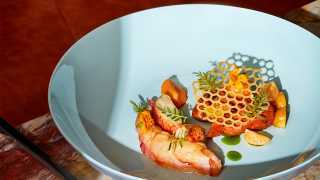 Review: Joni Restaurant inside Toronto's Park Hyatt Hotel | Lobster with honeycomb