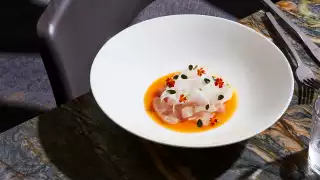 Review: Joni Restaurant inside Toronto's Park Hyatt Hotel | Hawaiian Kampachi Crudo
