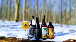 The best advent calendars for adults | An assortment of beer from the Small Batch Dispatch Beer Advent