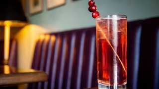 Winter gin and tonic recipe | The Oxley's festive G&T