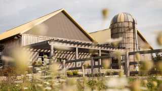 Willibald Farm Distillery and Brewery in Ayr, Ontario | The farm in the summer