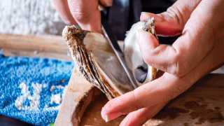 How to eat oysters | Shucking oysters at Oyster Boy in Toronto