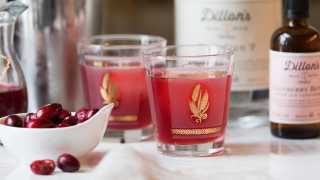 Gin cocktails and their recipes | Dillon's Cranberry Crush gin cocktail recipe