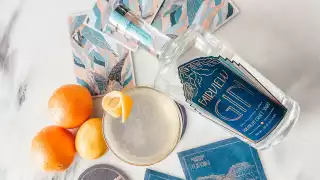 Gin cocktails and their recipes | Glorious Fairview gin cocktail recipe
