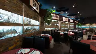 Best seafood restaurants in Toronto | Fish tanks at Fishman Lobster Clubhouse