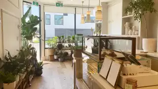 Inside Olivia's Garden at Harbord and Crawford