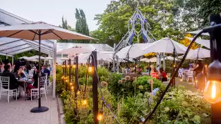 Toronto events and festivals | String lights set the mood in the Gardens at Casa Loma