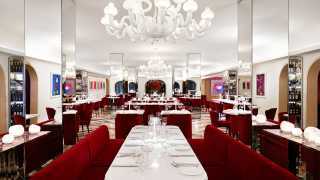 Best restaurants in Yorkville | Sofia restaurant dining room