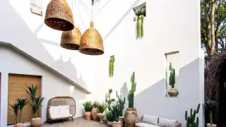 Soluna | Greenery and white walls outside of Soluna on Queen West