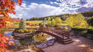 Tourism Niagara | The bridge at Rosewood Estates Winery Tourism Niagara | The bridge at Rosewood Estates Winery