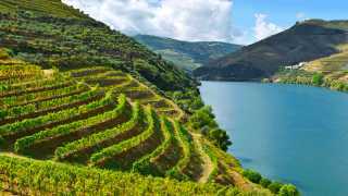 Wines of Portugal | Douro Valley