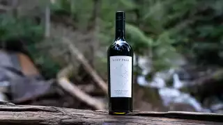 Lost Peak | Lost Peak wine in the forest of the Cascade Range in Washington Lost Peak | Lost Peak wine in the forest of the Cascade Range in Washington
