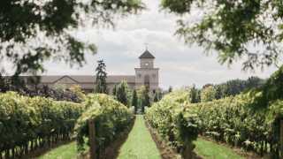 The best wineries in Niagara-on-the-Lake | Two Sisters Vineyards