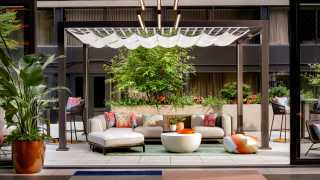 Couches and greenery on the patio, the Yard at the W Toronto hotel in Yorkville