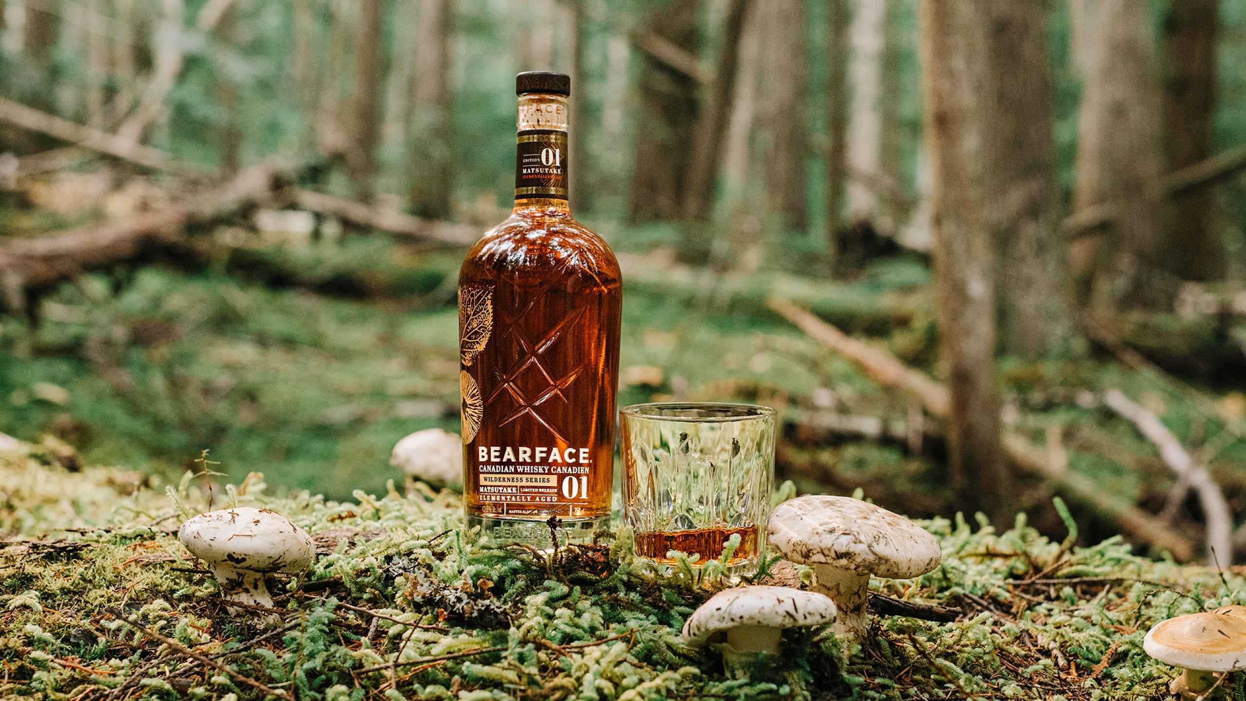 Introducing Bearface Matsutake Foodism TO