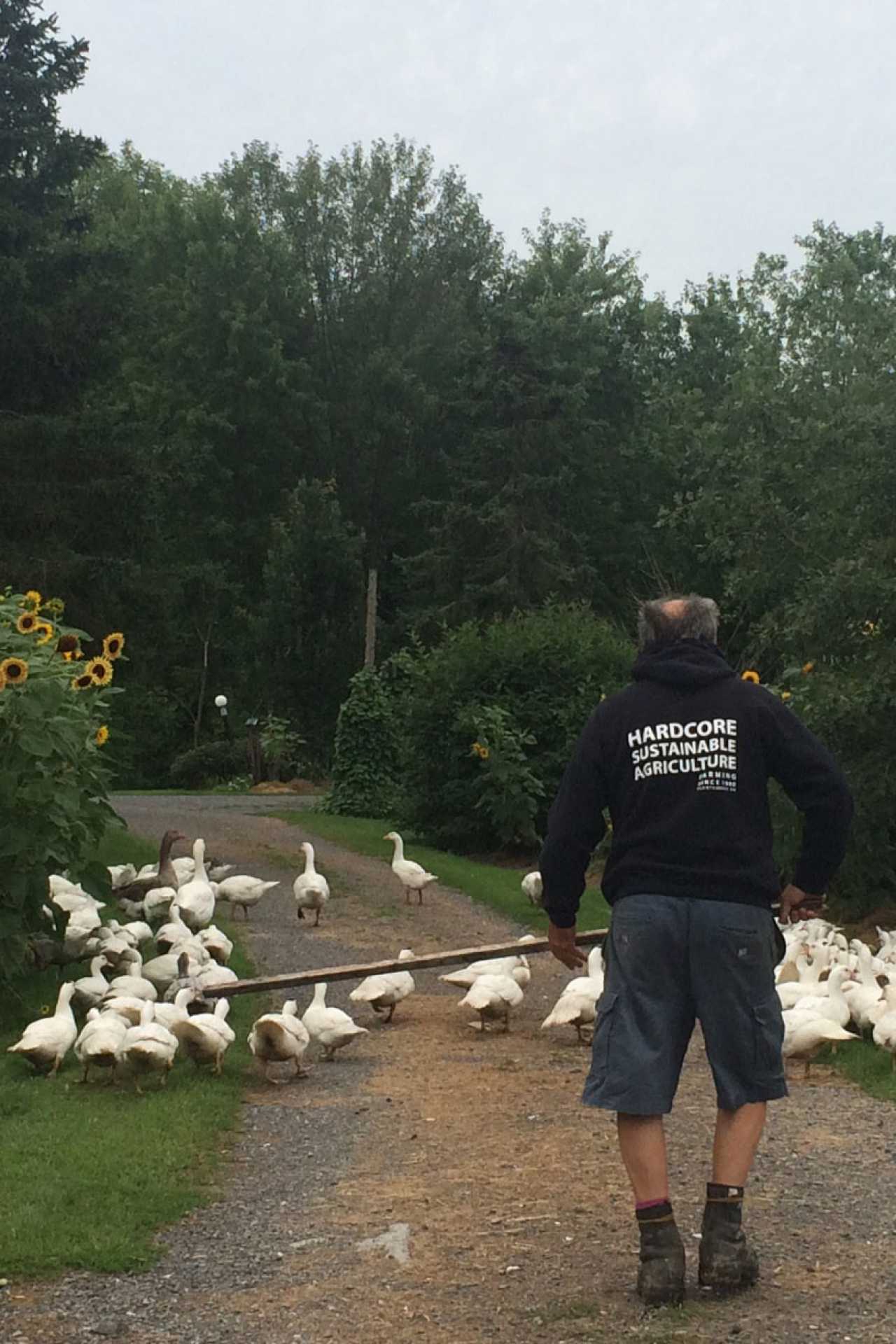 Ethical foie gras | On Mariposa Farms Ethical foie gras | On Mariposa Farms