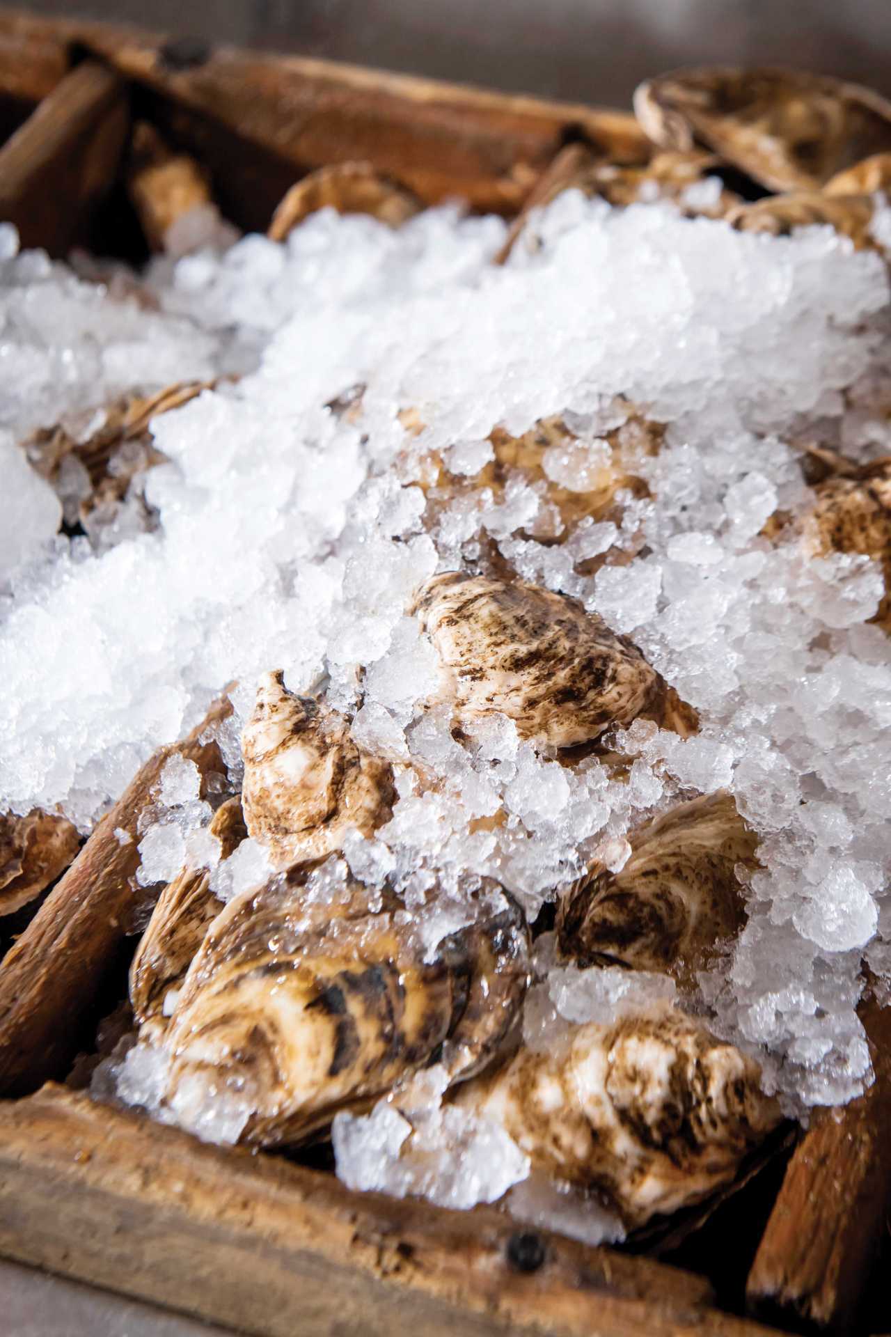 Restaurant supply chains: oysters from Oyster Boy