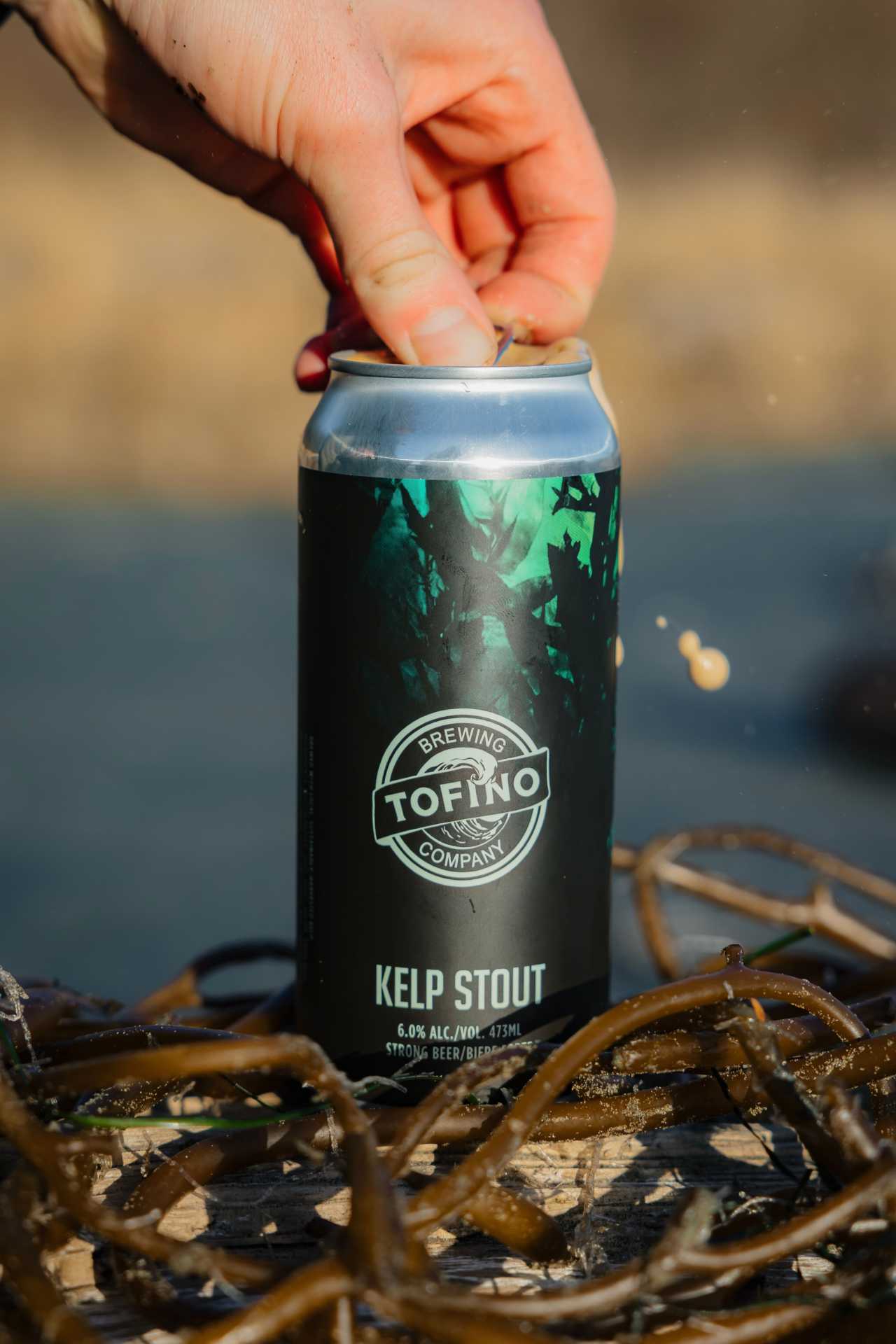 Seaweed benefits | Cracking open a can of Tofino Brewing Co.’s Kelp Stout