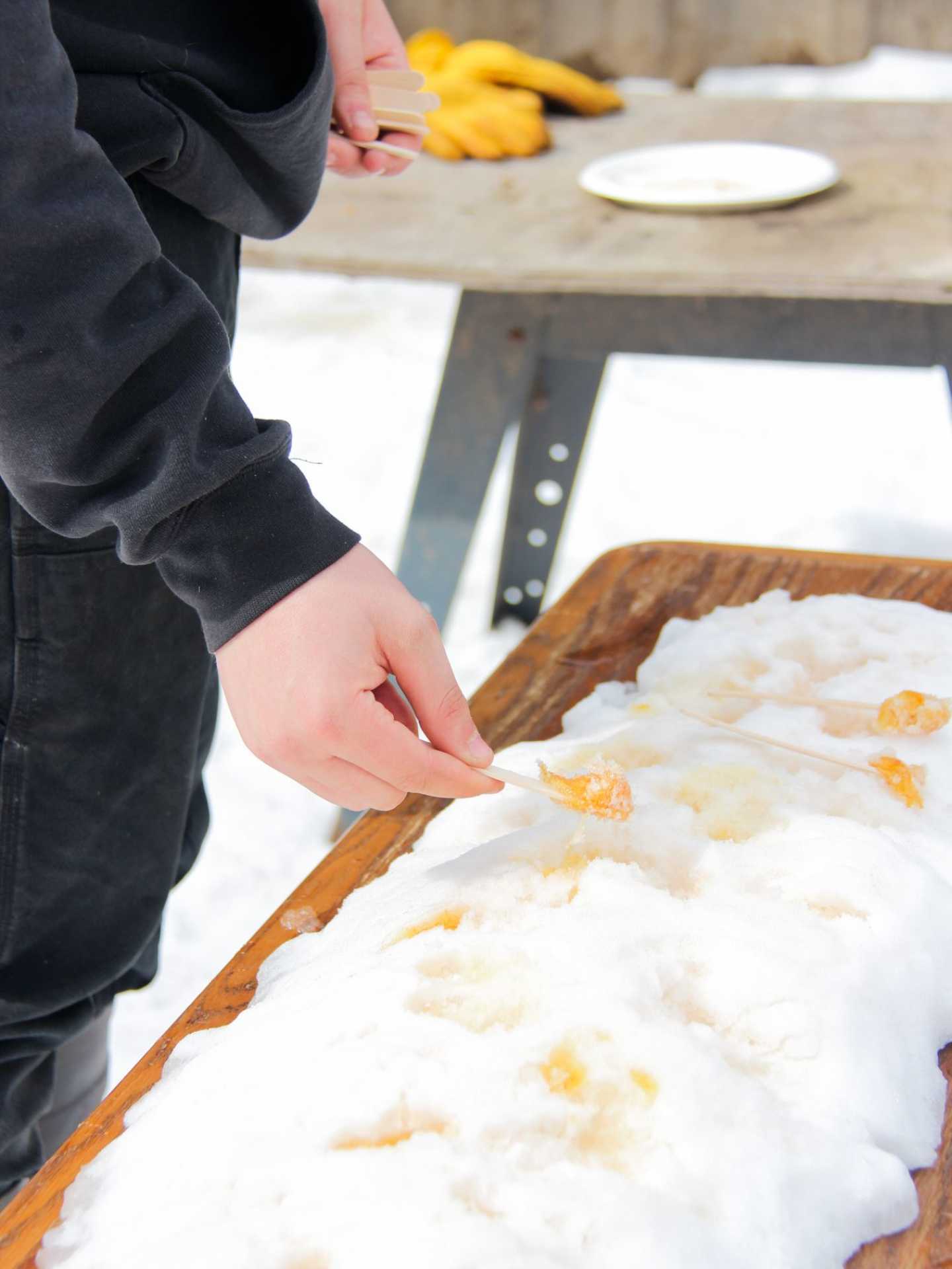 Rural Route Tour Co. maple syrup farm tour | Maple taffy being scooped up from a pile of snow